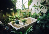 How to Create a Spa-Like Bathroom Experience in Your Florida Home