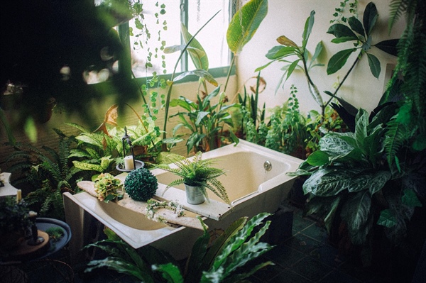 How to Create a Spa-Like Bathroom Experience in Your Florida Home